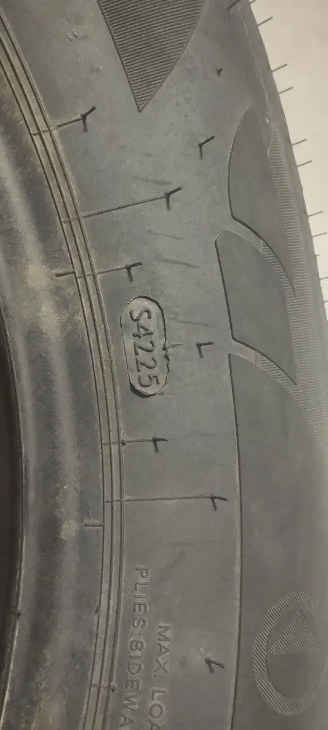 لاستیک بارز|قطعات یدکی و لوازم جانبی|صدرا-فارس, فاز ۱|دیوار