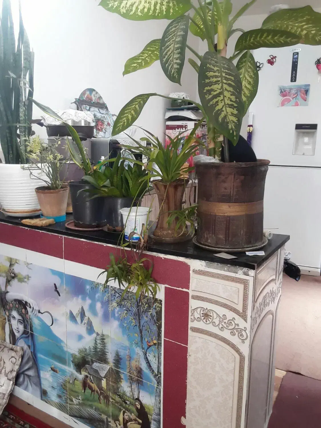 خانه اجارهای در کشکسرای|اجارهٔ خانه و ویلا|کشکسرای, |دیوار