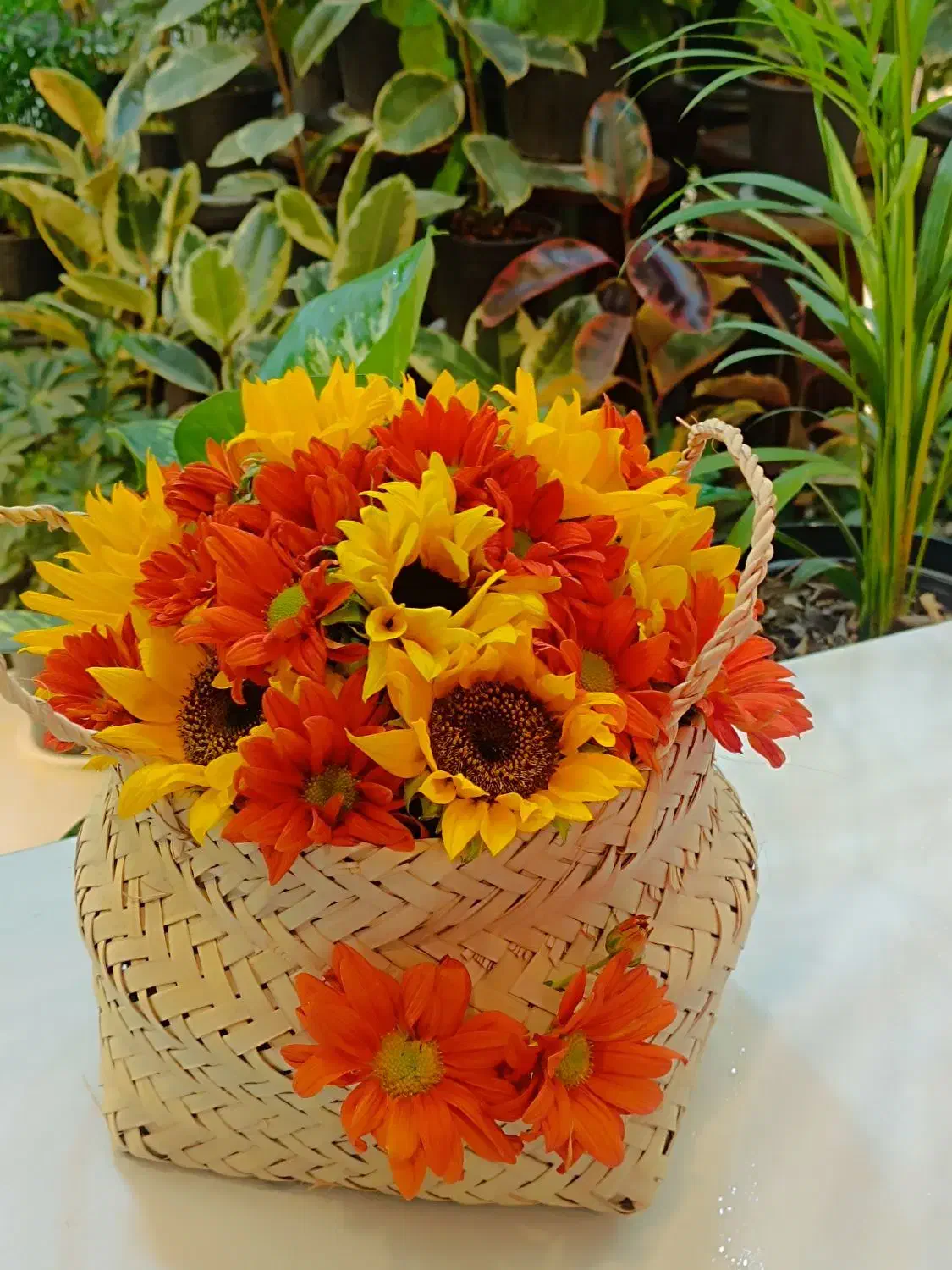 پایه گل سبد گل دسته گل ماشین عروس|گل و گیاه طبیعی|گلبهار, شهر جدید گلبهار|دیوار