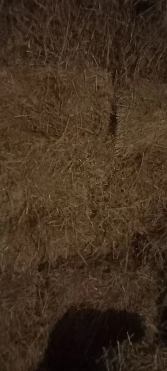 یونجه|لوازم جانبی حیوانات|کشاورز, |دیوار