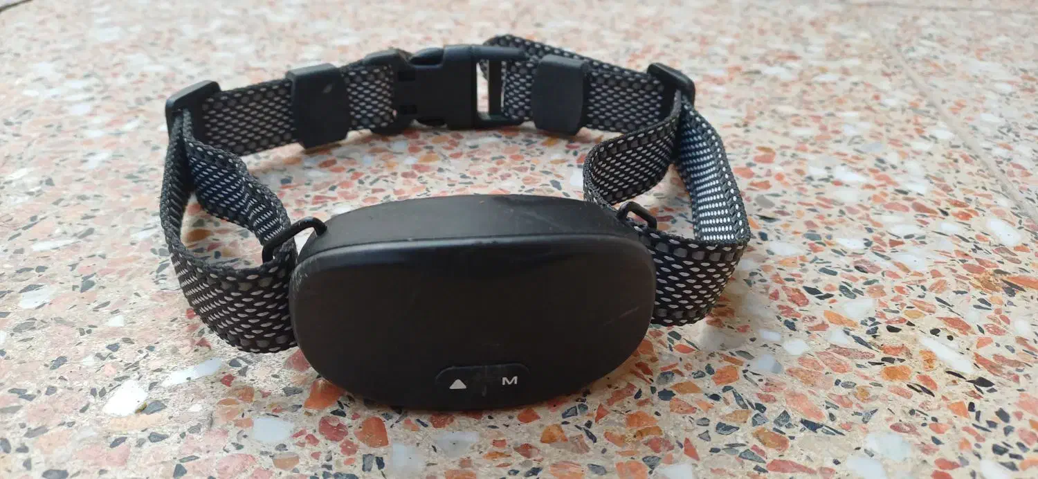 قلاده ضد واق|لوازم جانبی حیوانات|تهران, مختاری|دیوار