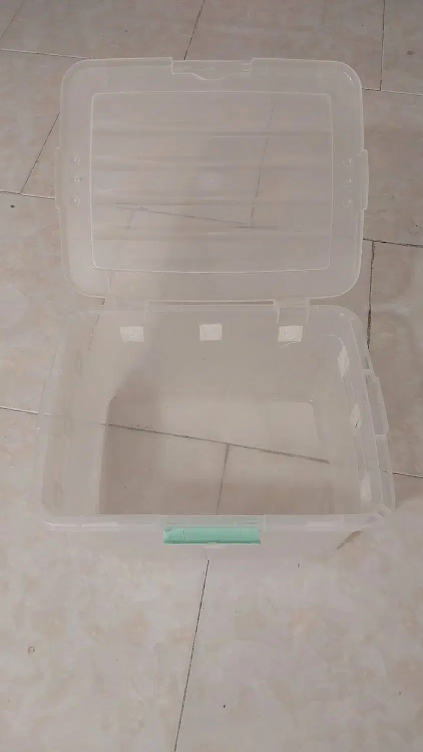 باکس جانونی جانانی|ظروف نگهدارنده، پلاستیکی، یک‌بارمصرف|پرند, فاز ۶|دیوار