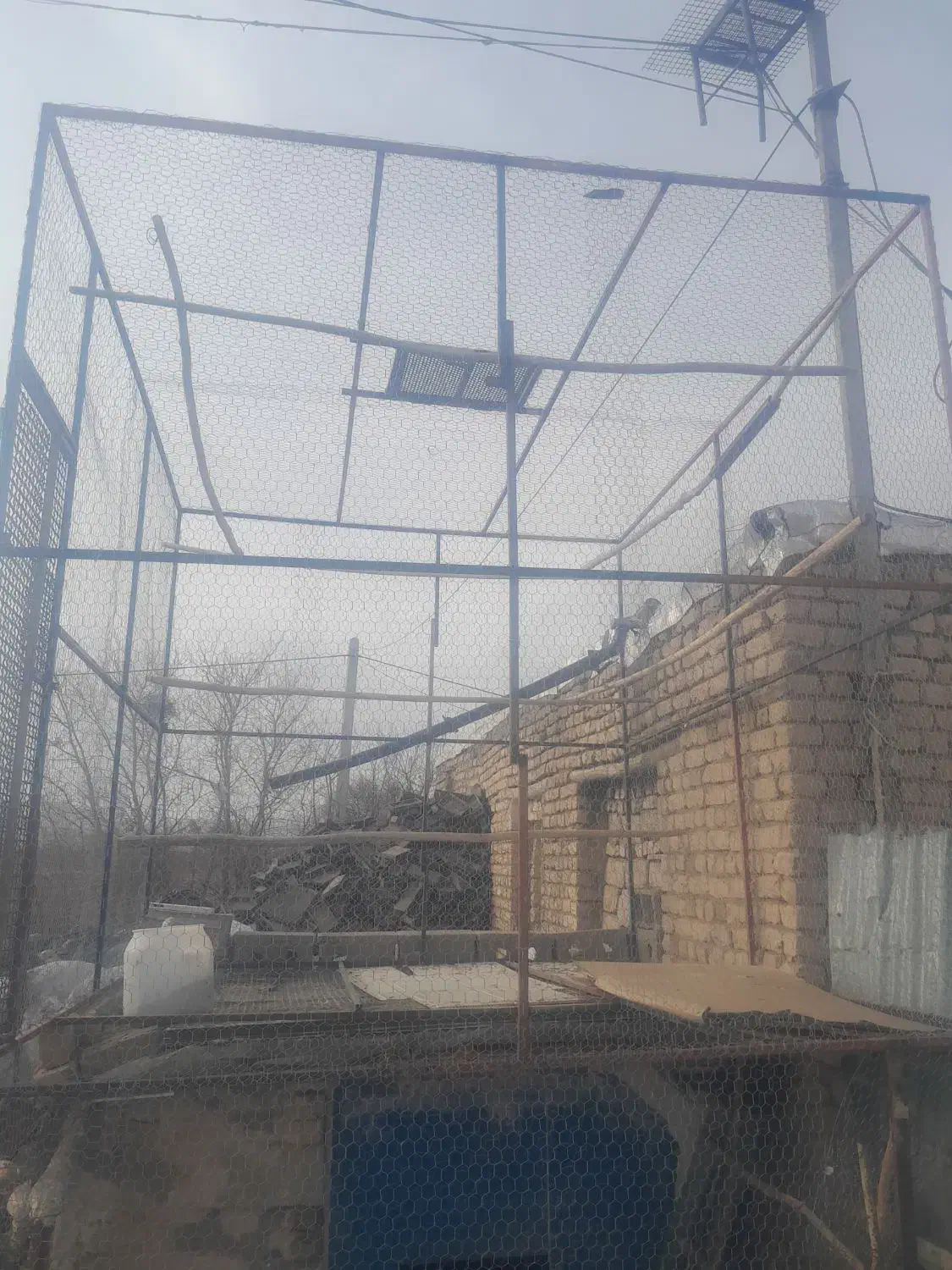 قفس|لوازم جانبی حیوانات|رزن, |دیوار