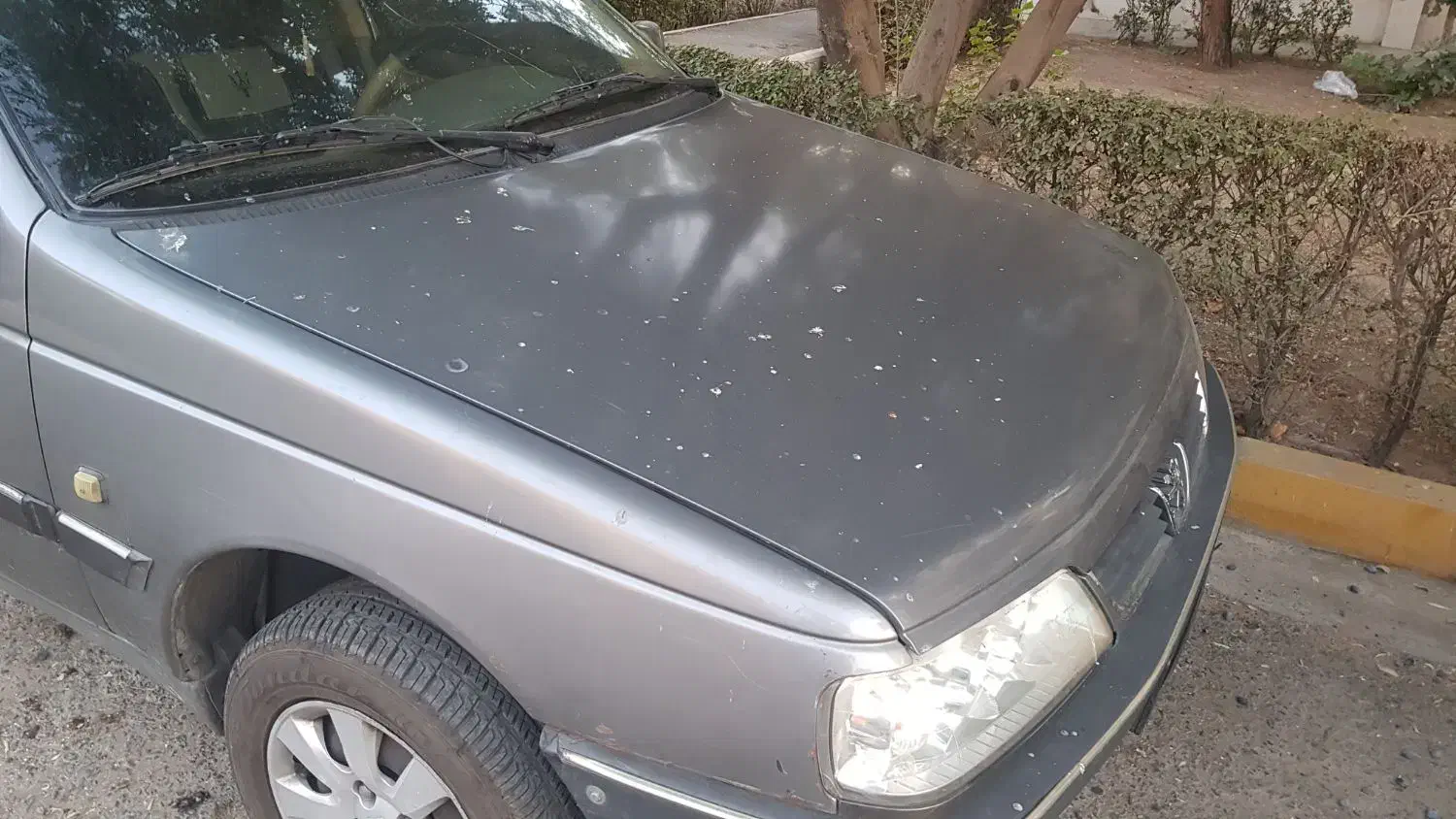 پژو ۴۰۵ مدل ۸۸|خودرو سواری و وانت|تهران, پرستار|دیوار