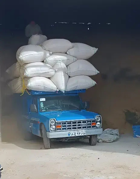 خرید و فروش کاه باقیمت روز|حیوانات مزرعه|قیدار, |دیوار