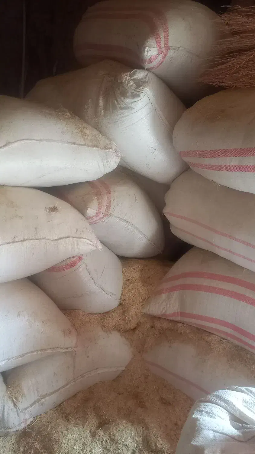 کاه گندم|خدمات باغبانی و درختکاری|بیرانوند, |دیوار