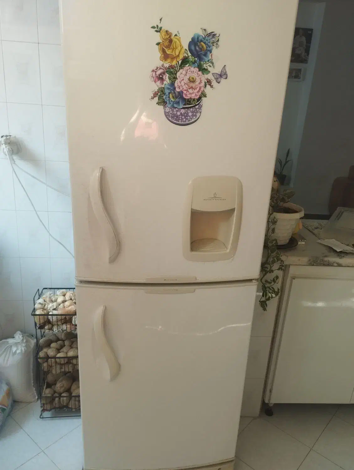 یخچال سالم تمیز و مرتب توی عکس معلوم میشه|یخچال و فریزر|مشهد, ولیعصر (شهرک غرب)|دیوار