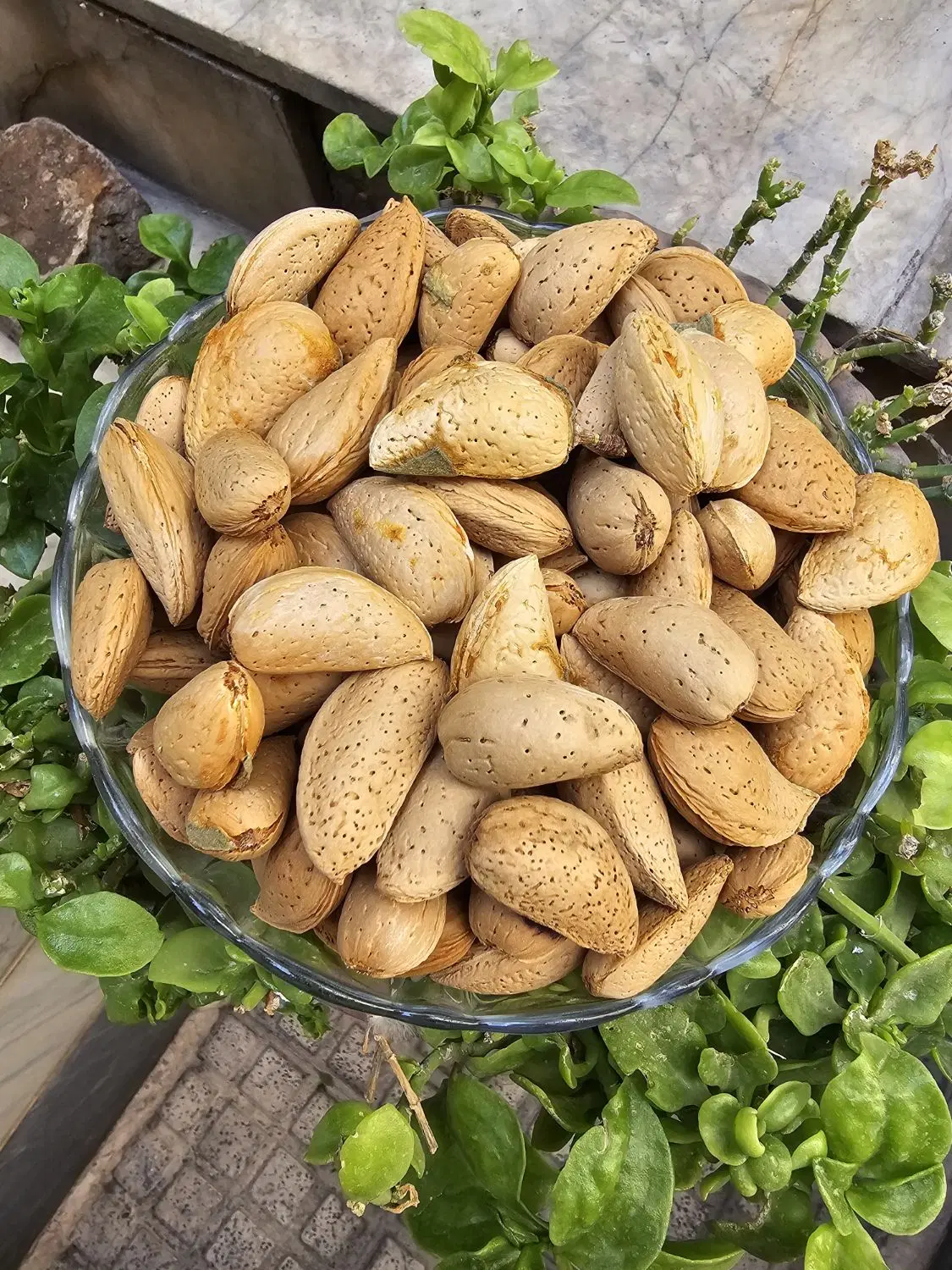 بادام شاهرودی دونه درشت درجه یک|خوردنی و آشامیدنی|تهران, سلسبیل شمالی|دیوار