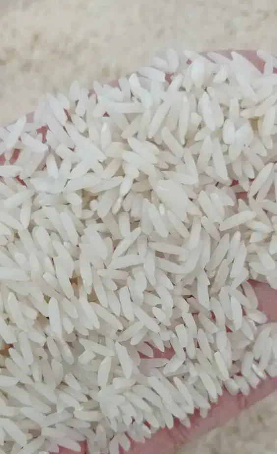 برنج شیروان بوژان|خوردنی و آشامیدنی|ایلام, |دیوار