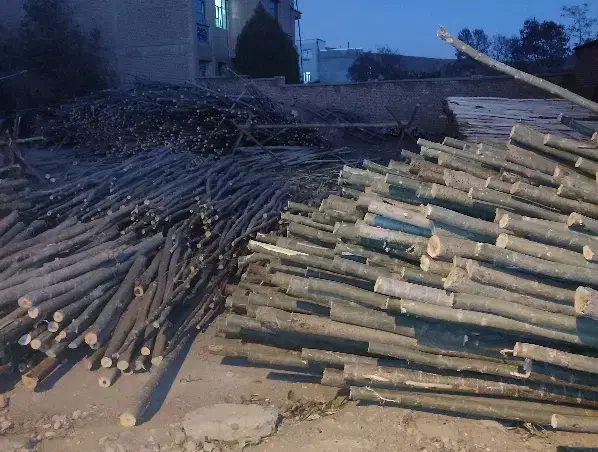 خریدوفروش چوب|عمده‌فروشی|لاران, |دیوار