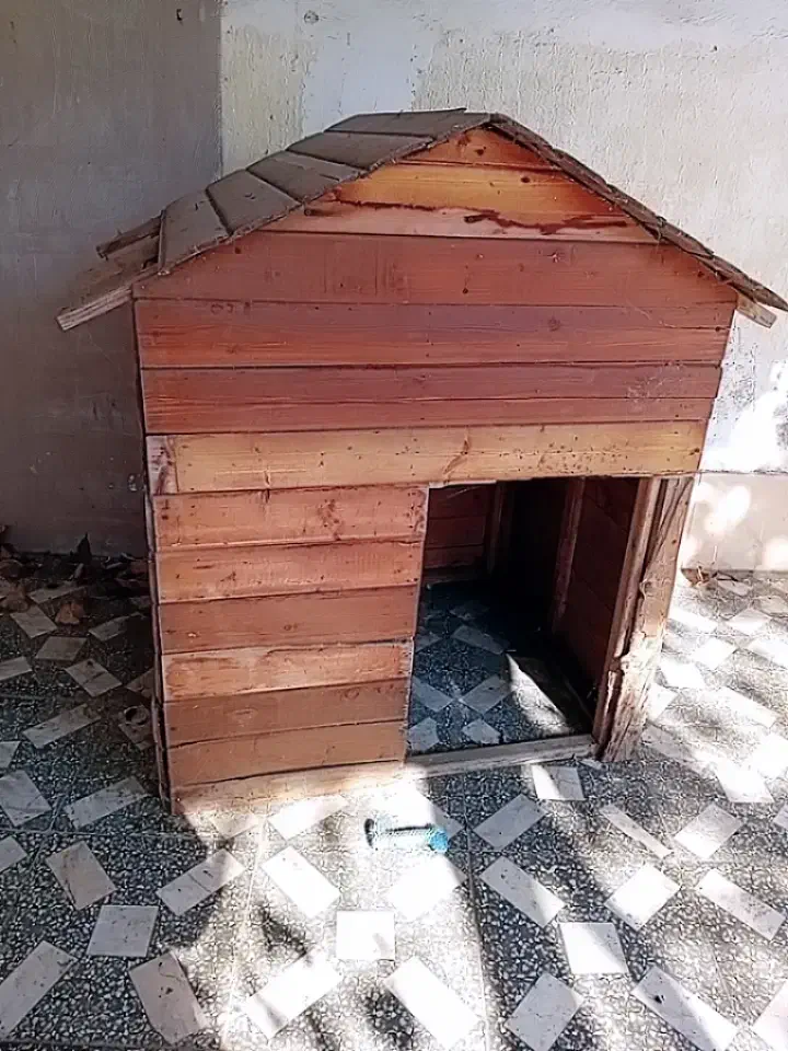 کلبه چوبی سگ بزرگ|لوازم جانبی حیوانات|آمل, |دیوار