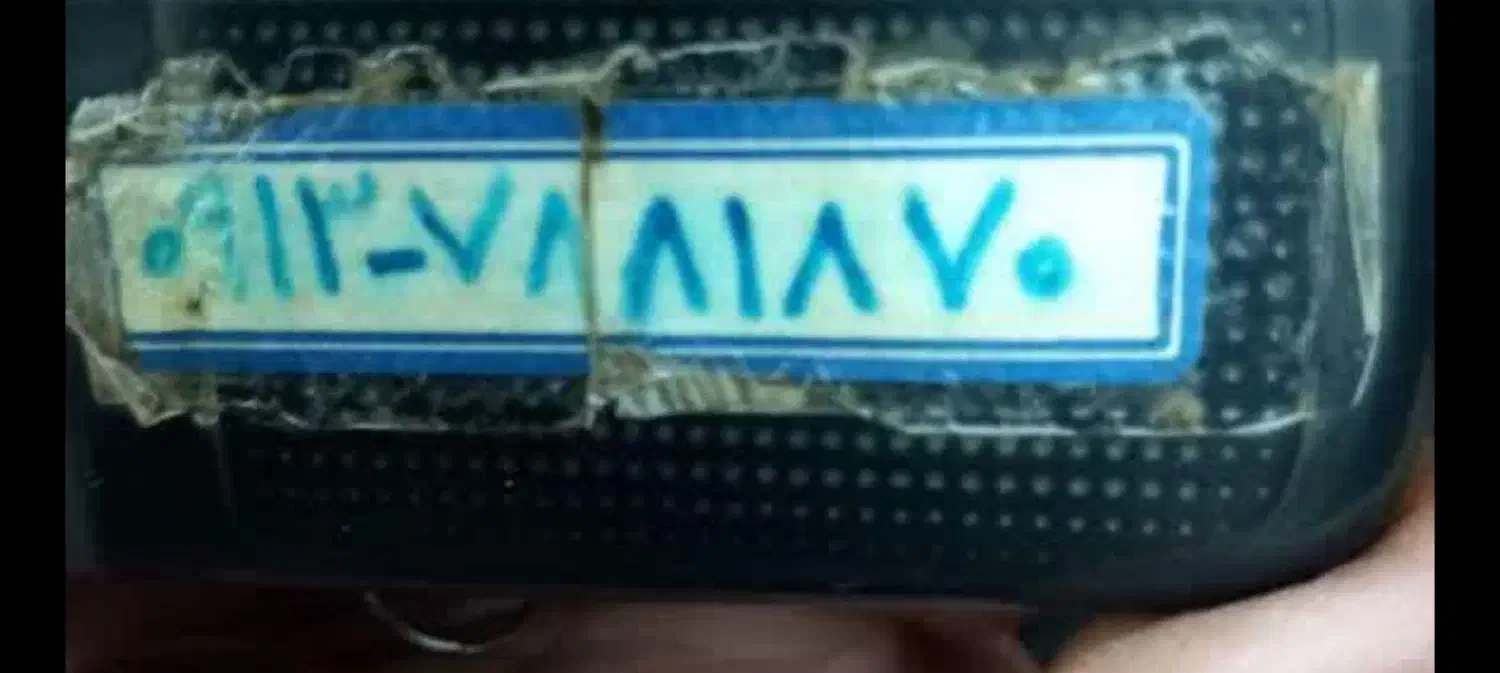 نهال بادام.دوساله.درجه یک|گل و گیاه طبیعی|گلپایگان, |دیوار