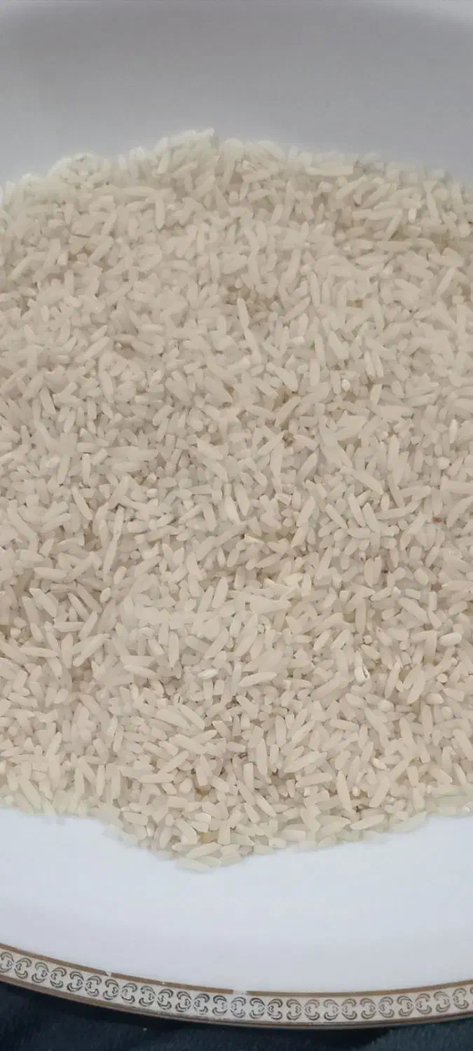 لاشه برنج هاشمی|خوردنی و آشامیدنی|رشت, حافظ آباد|دیوار