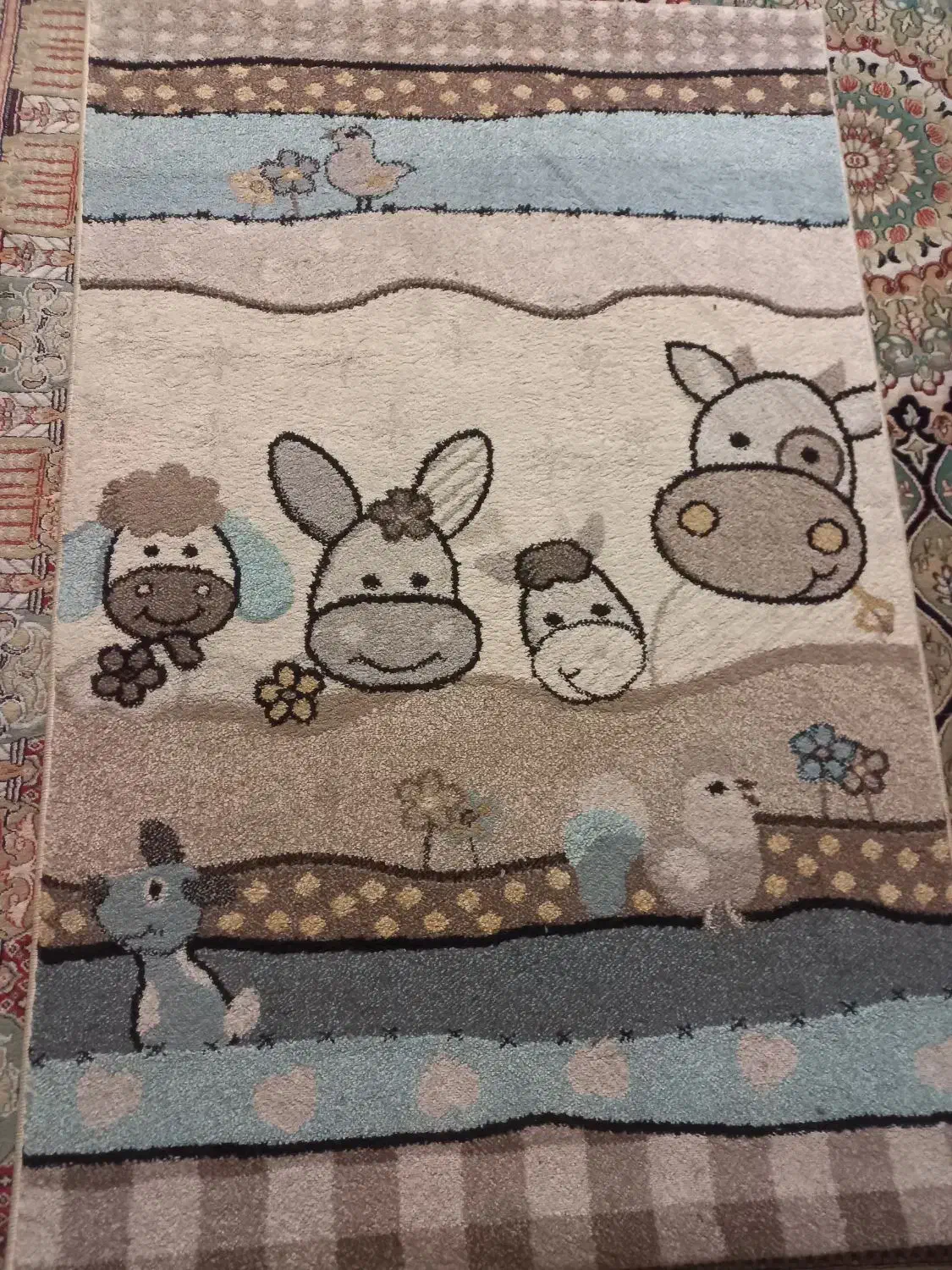 فرش کودک|فرش|مشهد, شهرآرا|دیوار