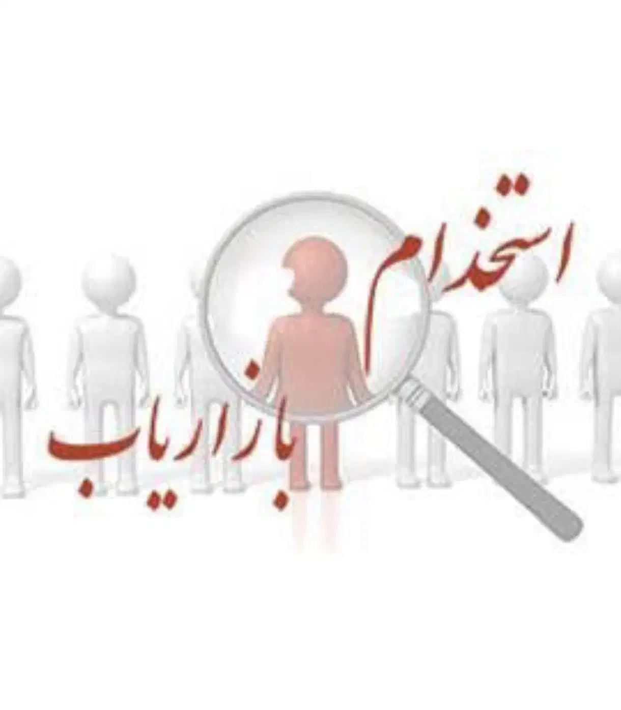 بازاریابی مواد غذایی|استخدام بازاریابی و فروش|جهرم, |دیوار
