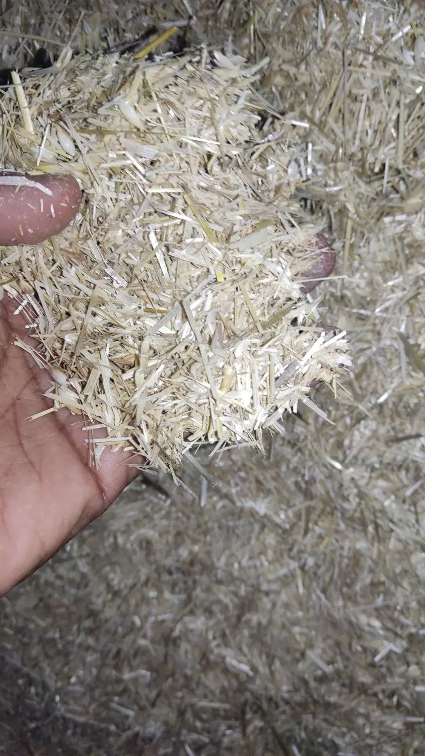 کاه گندم|خدمات باغبانی و درختکاری|دلگان, |دیوار