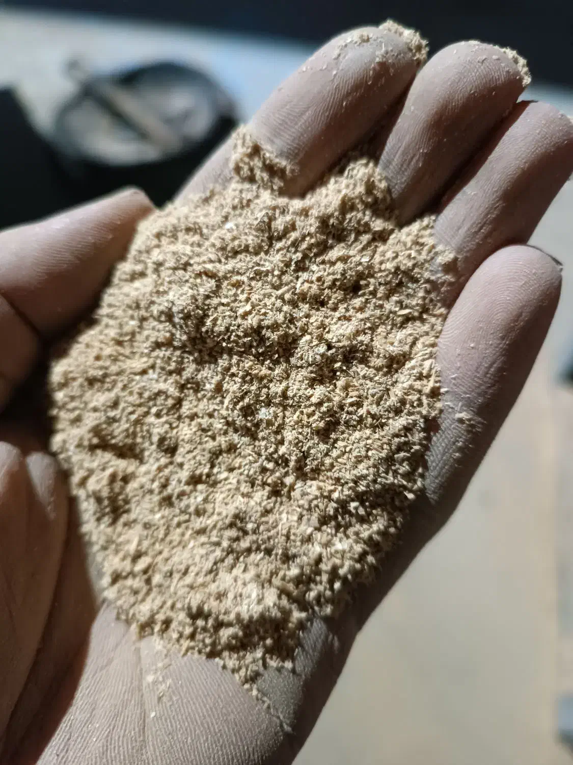 سبوس برنج برای دام|حیوانات مزرعه|ماهیدشت, |دیوار