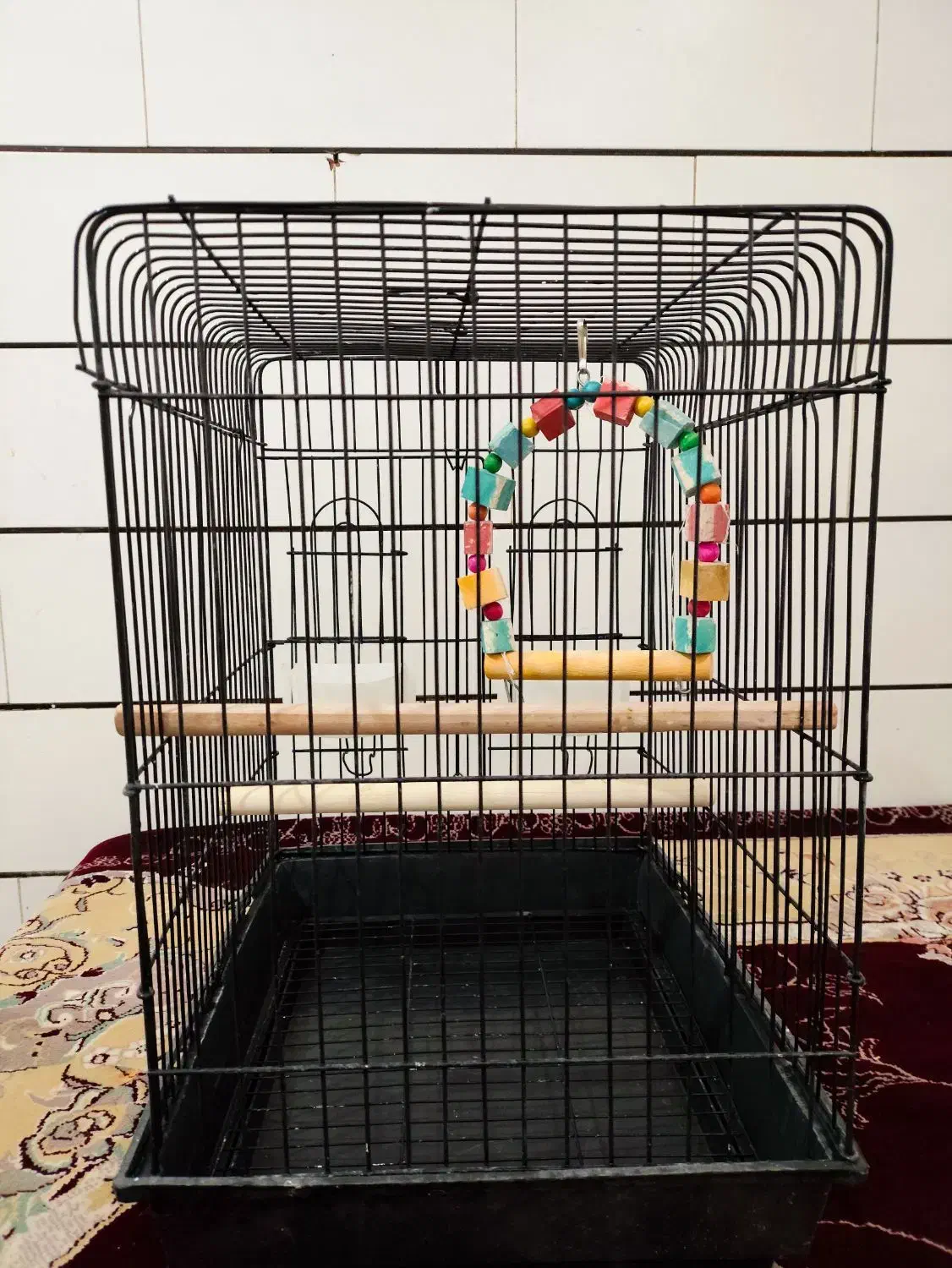 قفس پرنده بزرگ|لوازم جانبی حیوانات|قم, بقیع|دیوار