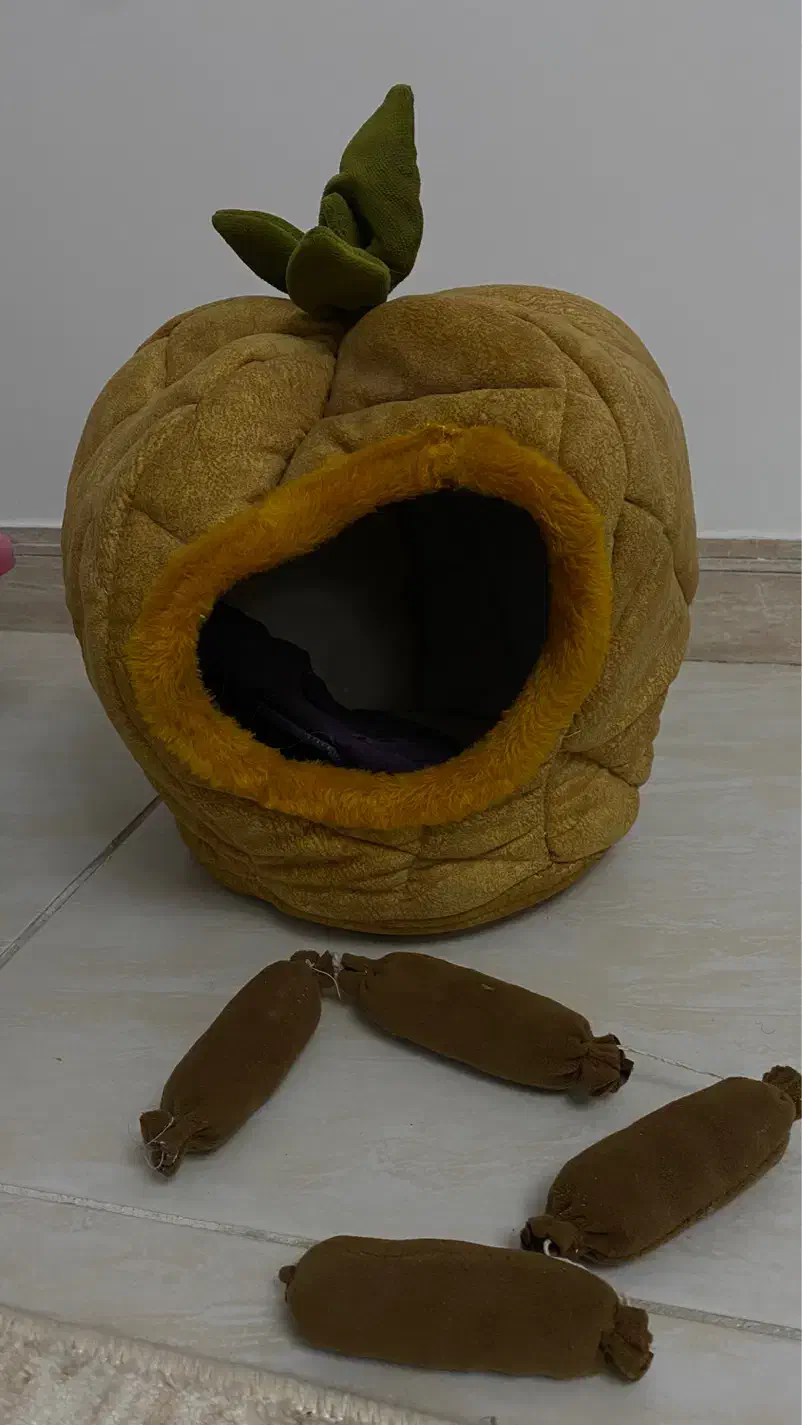 وسایل گربه|لوازم جانبی حیوانات|قزوین, |دیوار