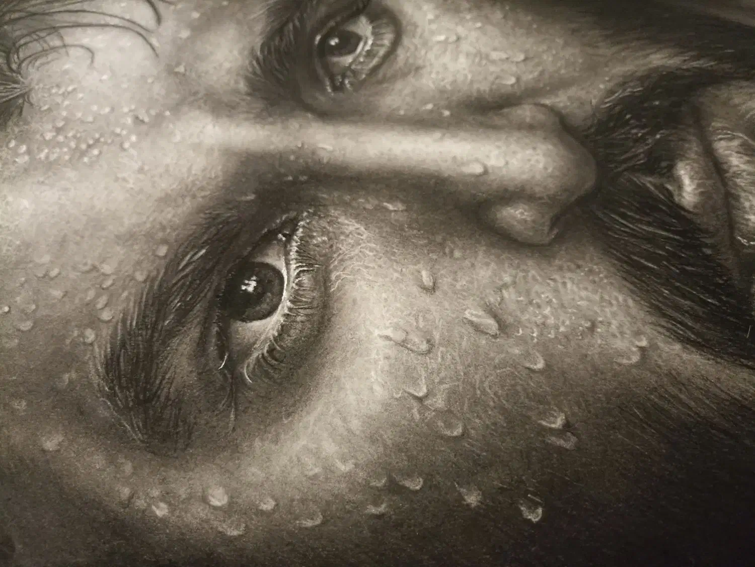 تابلو سیاه قلم چهره ۷۵۰|تابلو، نقاشی، عکس|تهران, والفجر (افسریه)|دیوار