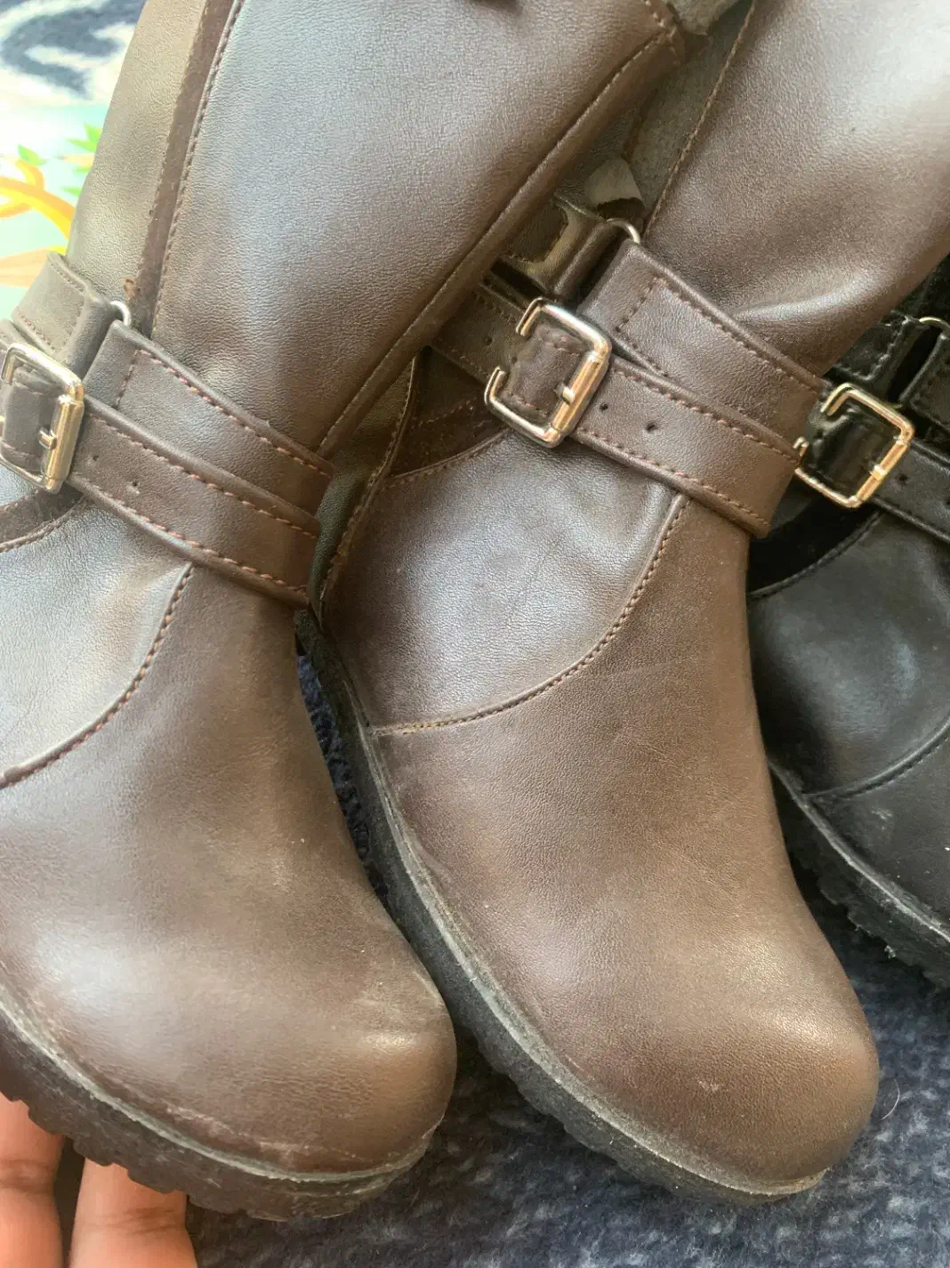 کفش مردانه دخترانه بچه گانه|کیف، کفش، کمربند|بم, |دیوار