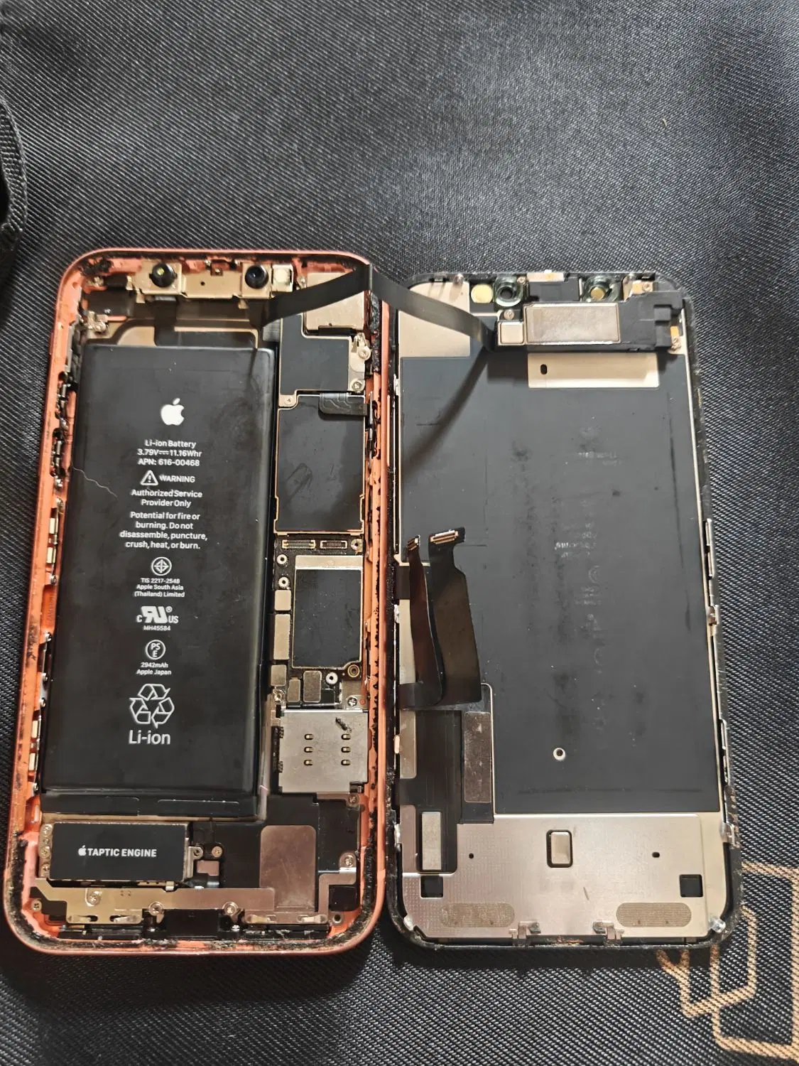 Iphone Xr|موبایل|مشهد, شهید فرامرز عباسی|دیوار