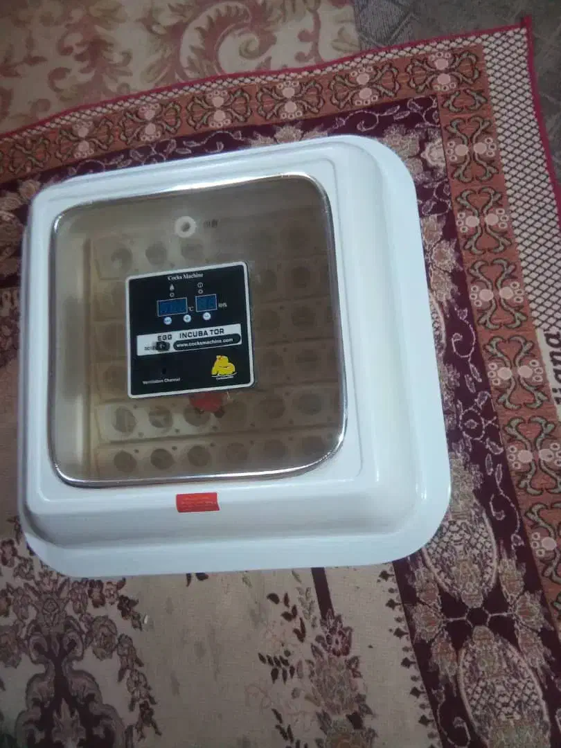 فروش دستگاه جوجه کشی|لوازم جانبی حیوانات|بندر ماهشهر, |دیوار