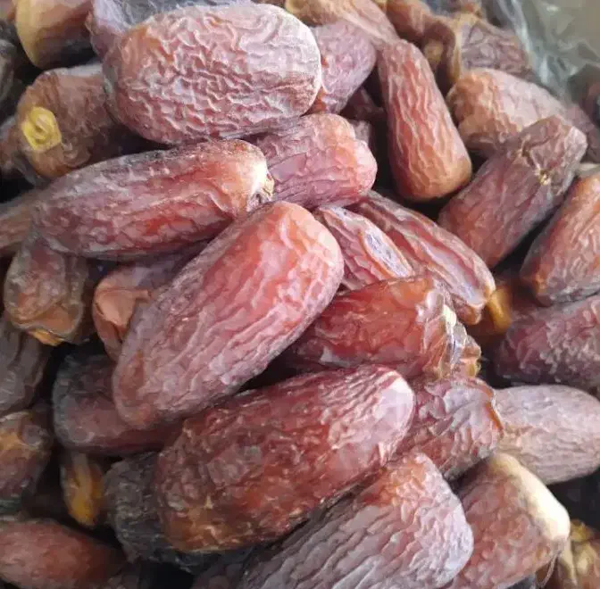 پاجوش نخل|گل و گیاه طبیعی|داراب, |دیوار