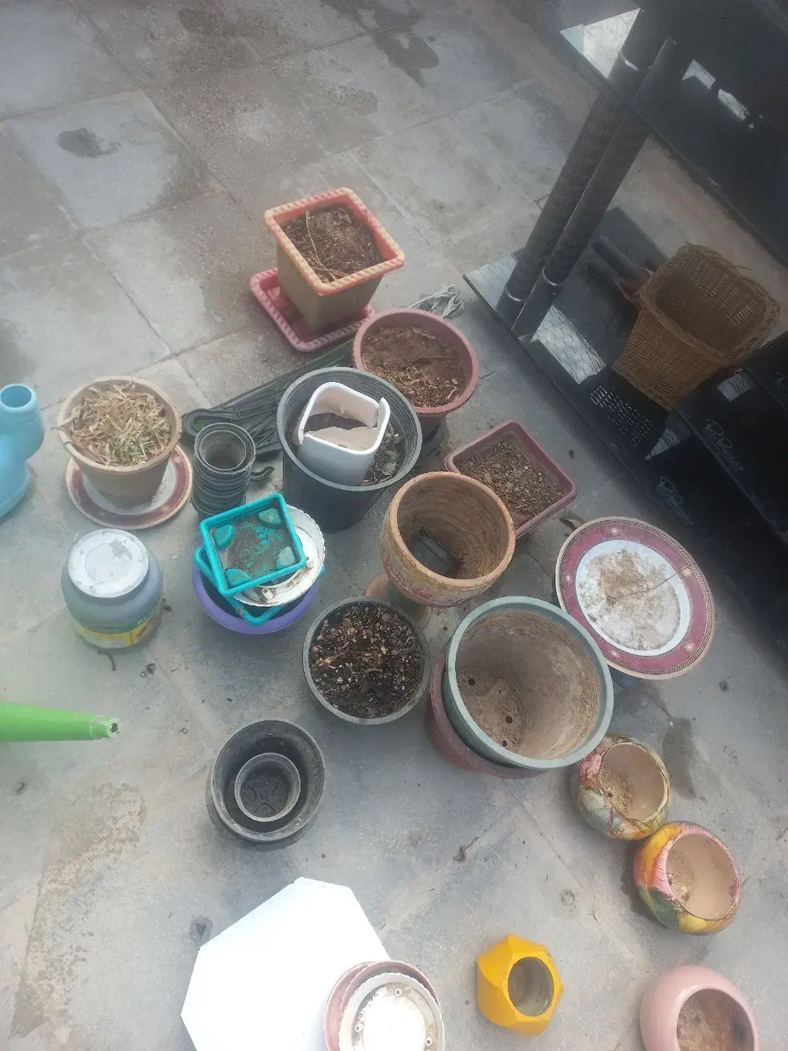 گلدان|گل و گیاه طبیعی|شیراز, شهدای شهرک سعدی|دیوار