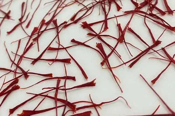 زعفران|خدمات پذیرایی، مراسم|بجنورد, |دیوار