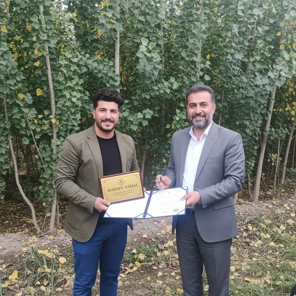 خرید نهال صنوبر با بستهبندی امن|خدمات باغبانی و درختکاری|سقز, |دیوار