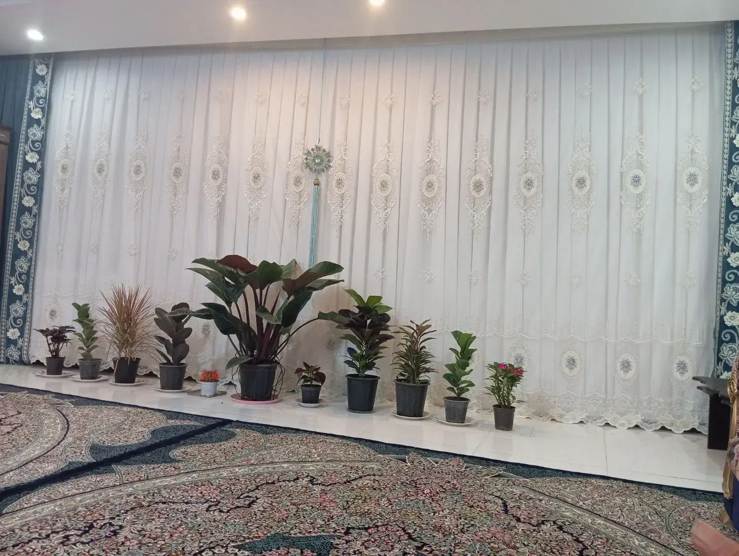 پرده پذیرایی|پرده، رانر، رومیزی|ساوه, |دیوار