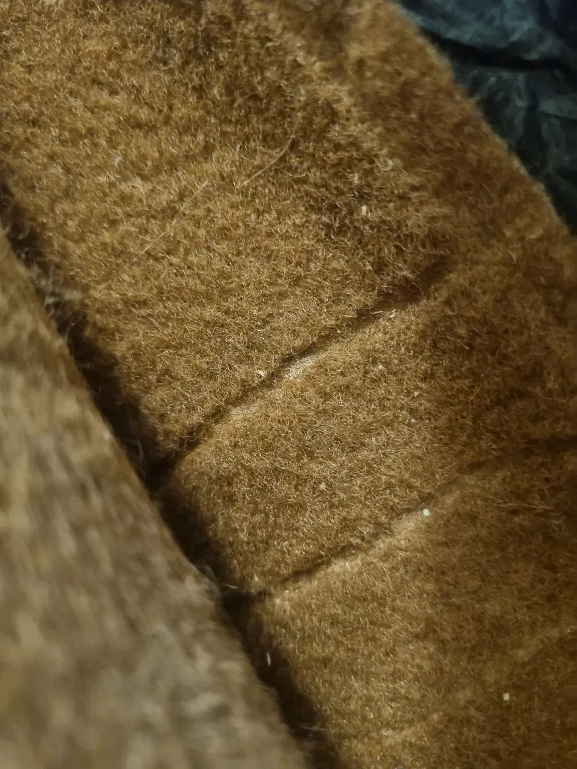 موکت 9متری گل برجسته|موکت|خمین, |دیوار