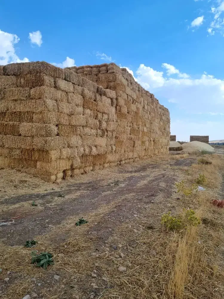 فروش خوراک دام .یونجه.کلش.کاه|لوازم جانبی حیوانات|اصفهان, ارغوانیه|دیوار