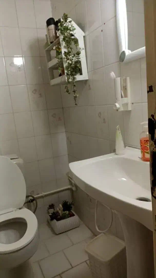 اجاره واحد 52 متری شهرزیبا