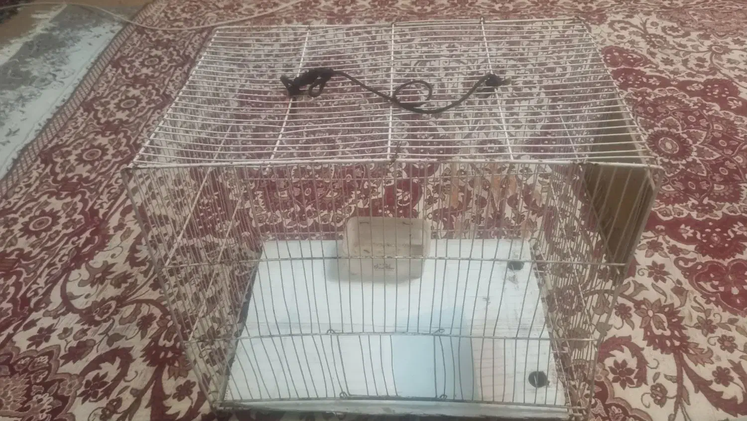 قفسه پرنده|لوازم جانبی حیوانات|مشهد, انصار|دیوار