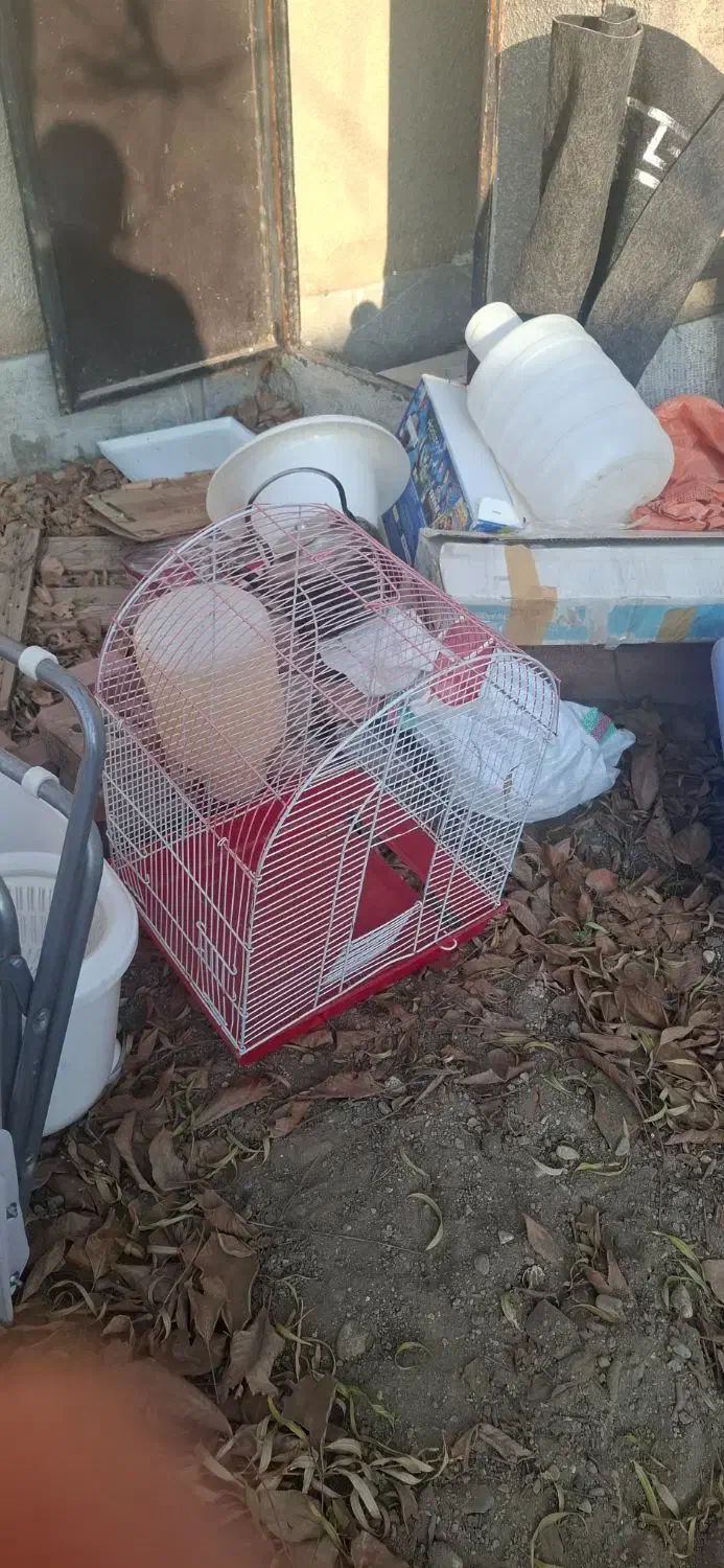 قفس|لوازم جانبی حیوانات|ملارد, |دیوار