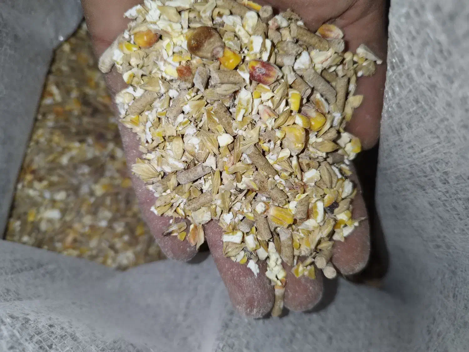 گاوگوسفندبره دان آجیلی بز|لوازم جانبی حیوانات|حمیل, |دیوار