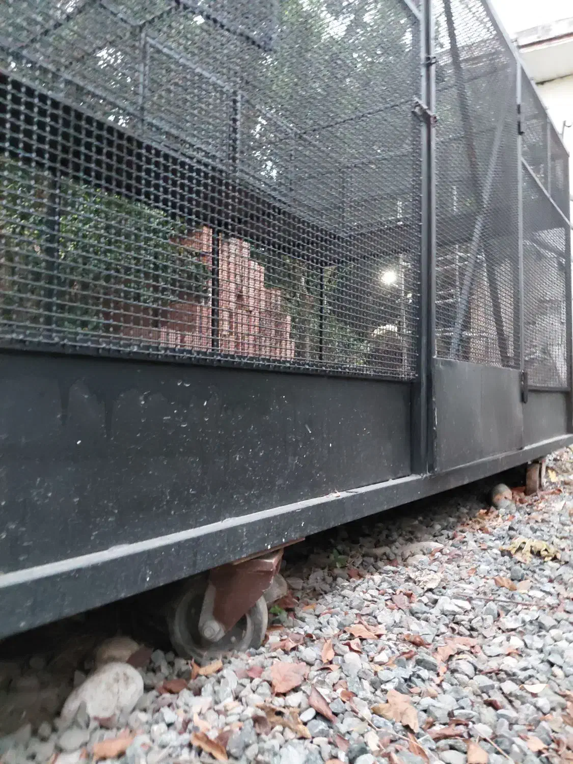 قفس بزرگ و محکم|لوازم جانبی حیوانات|قائم‌شهر, |دیوار