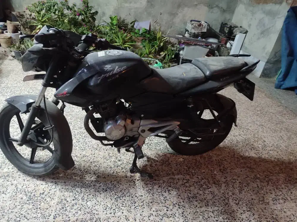 متور باسل ۱۳۵|موتورسیکلت|شیراز, فرودگاه شهید دستغیب شیراز|دیوار