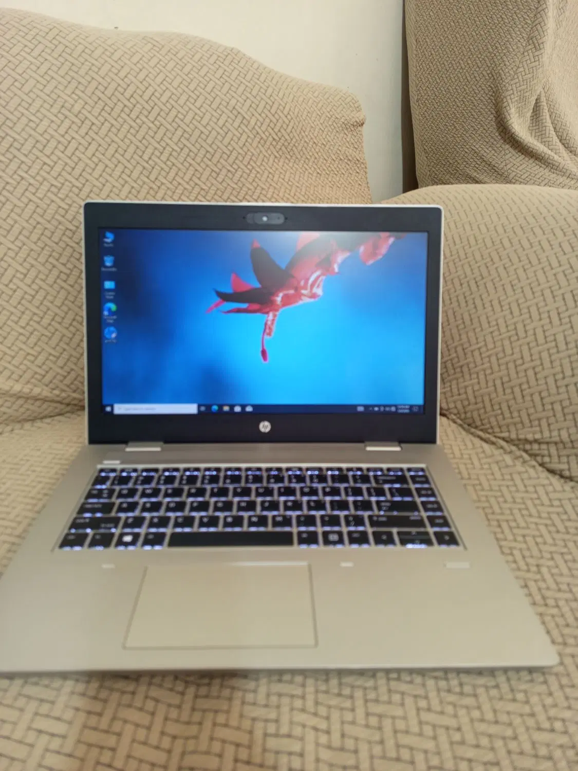 HP 445g6|رایانه همراه|شیراز, دینکان|دیوار