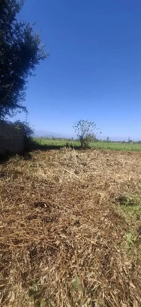 208متر کامل مسکونی|فروش زمین و ملک کلنگی|فومن, |دیوار