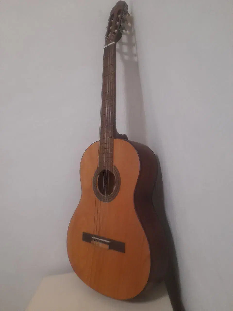 گیتار رویال|گیتار، بیس، امپلیفایر|چوبر, |دیوار