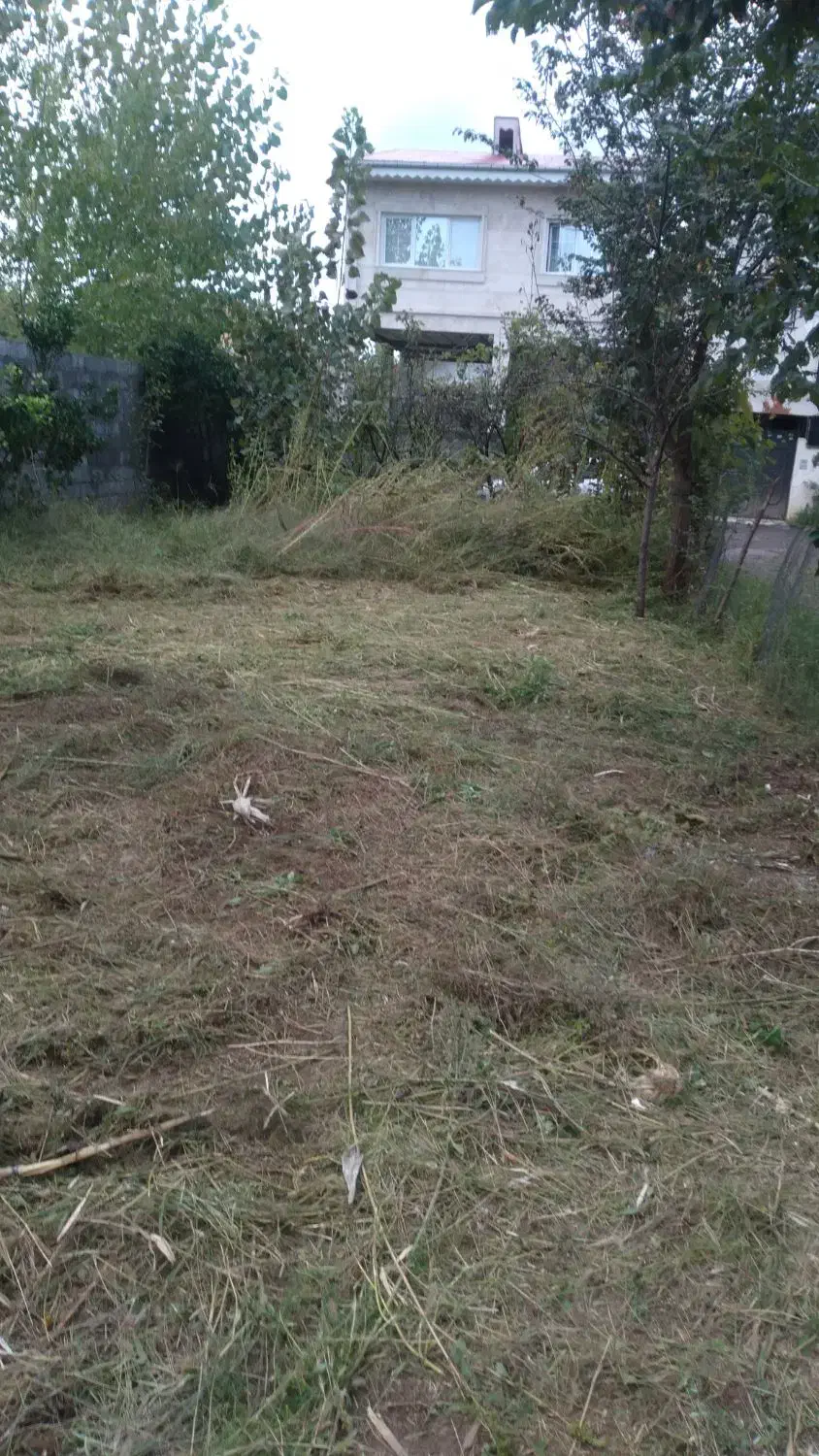 فروش زمین شهری رودبنه مسکونی(( با پروانه))|فروش زمین و ملک کلنگی|رودبنه, |دیوار