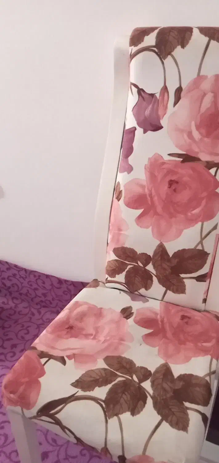 صندلی|میز و صندلی غذاخوری|بندرعباس, |دیوار