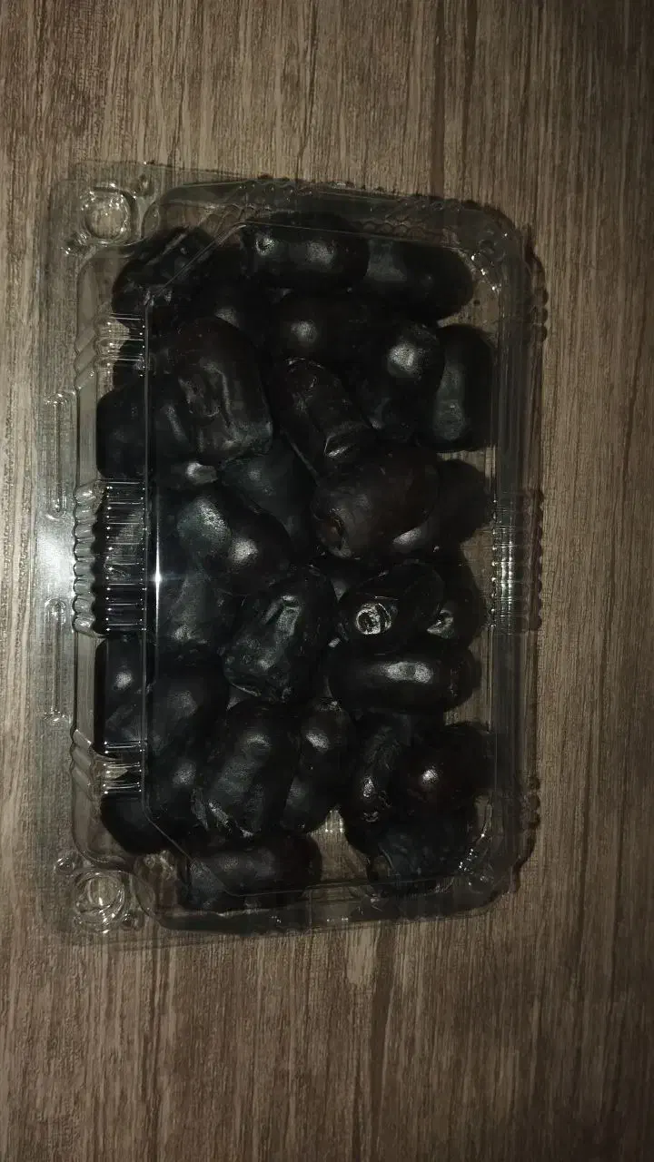 خرما|خوردنی و آشامیدنی|مشهد, موسوی قوچانی|دیوار