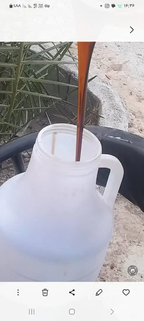 شیره خرما|خوردنی و آشامیدنی|وحدتیه, |دیوار