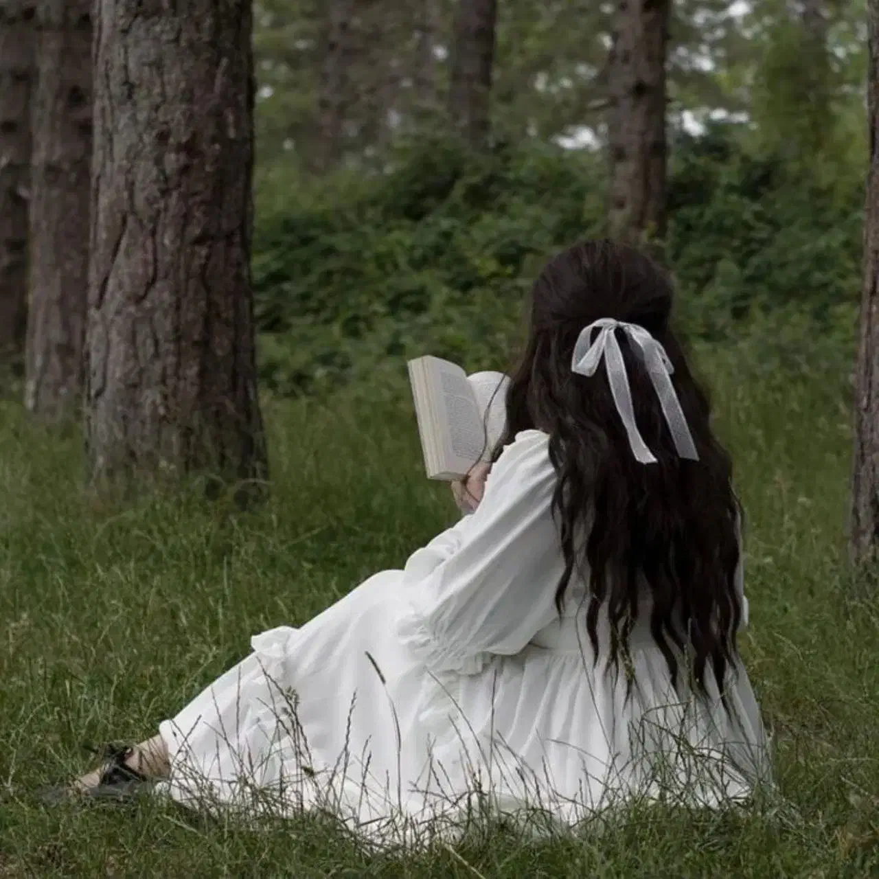 کارجو|فعالیت داوطلبانه|میانه, |دیوار