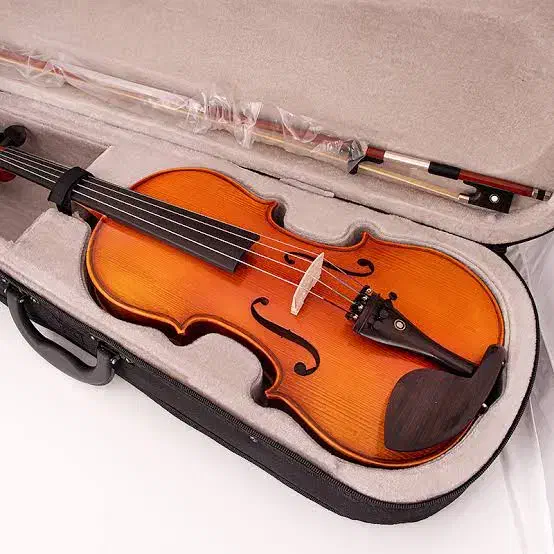 ویولن tf 142 4/4|ویولن|ابهر, |دیوار