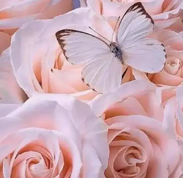 هم‌فکری و مشورت|فعالیت داوطلبانه|تهران, فاطمی|دیوار